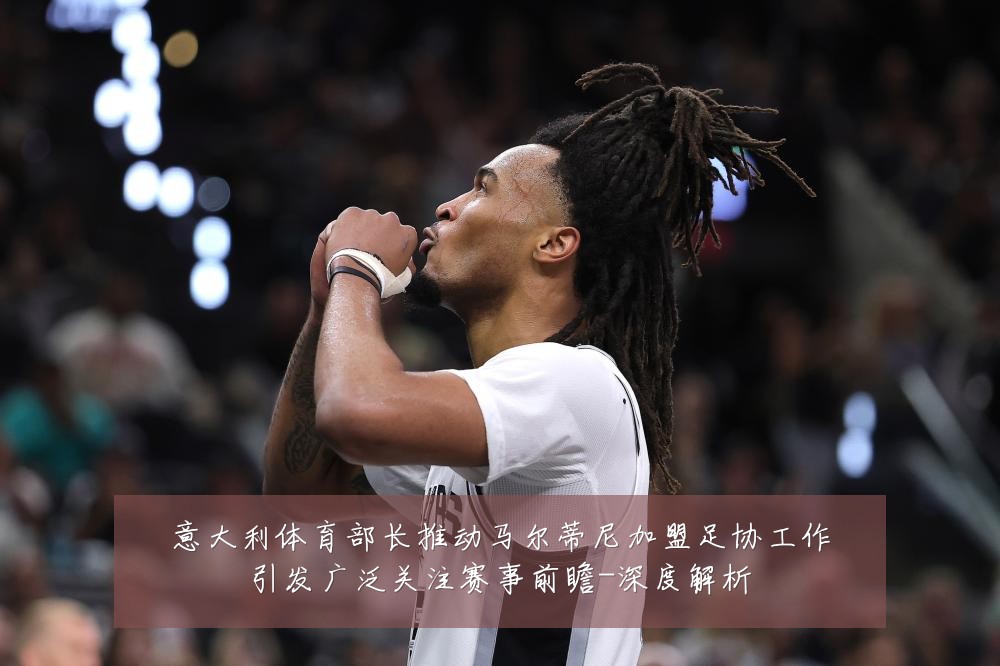 意大利体育部长推动马尔蒂尼加盟足协工作引发广泛关注赛事前瞻-深度解析