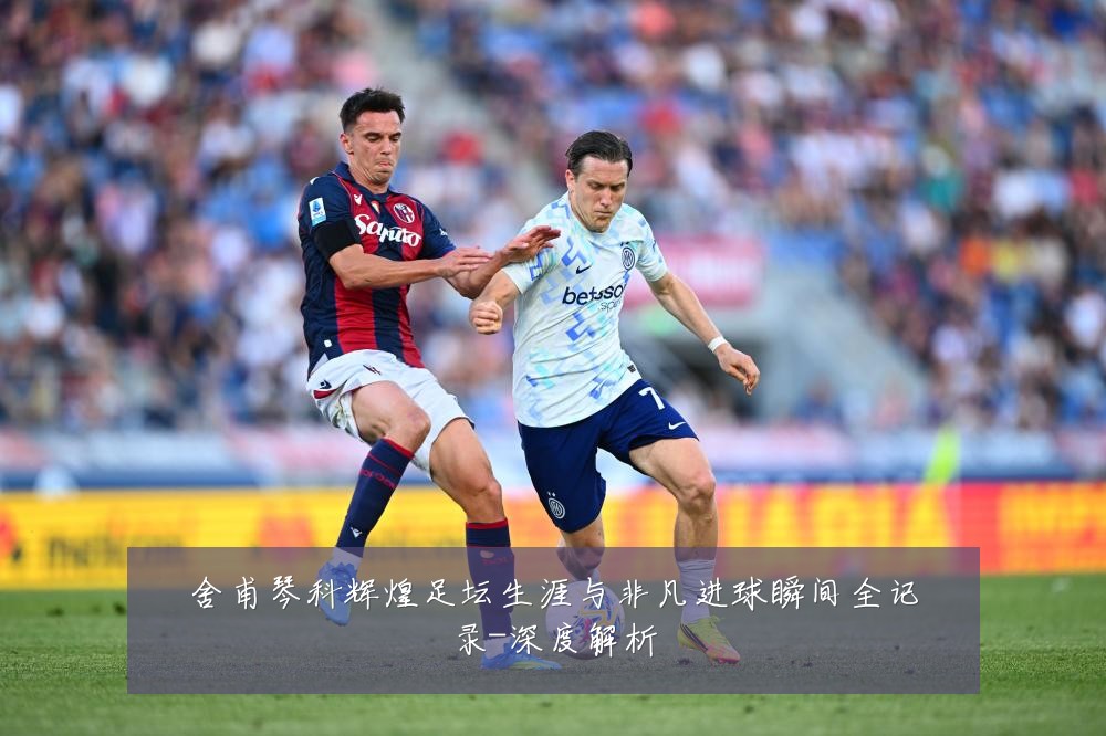 舍甫琴科辉煌足坛生涯与非凡进球瞬间全记录-深度解析